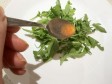 carpaccio al cocomero