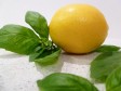 olio al basilico e limone